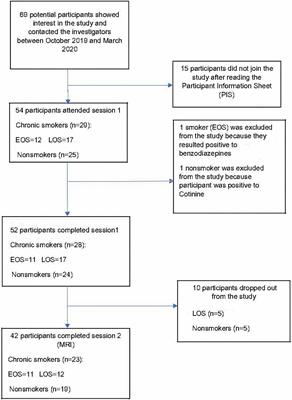 Chronic tobacco smoking, impaired reward-based decision-making, and role of insular cortex: A comparison between early-onset smokers and late-onset smokers